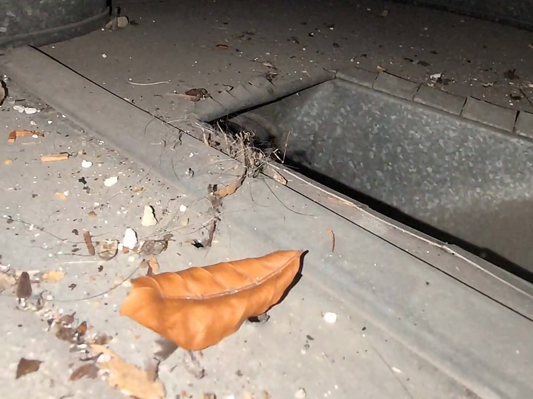 A dried leaf and debris sitting in the bottom of a supply duct before cleaning
